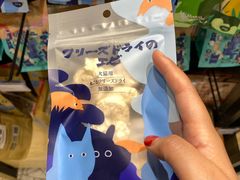 -momokira米努特·德文卷毛猫·棉花面纱犬