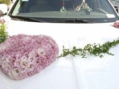 -深圳大学城（南区）体育中心-游泳馆