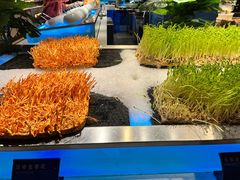 -V-ONE西雅图海鲜自助餐厅(仓山万达广场店)