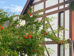 -太阳岛度假酒店