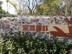 -昆山城市生态森林公园