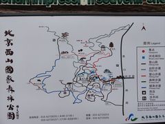 -北京西山国家森林公园