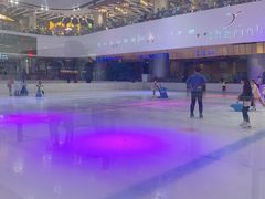 -TheRink大零溜冰场(IFS国金中心店)
