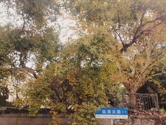 -八大关景区