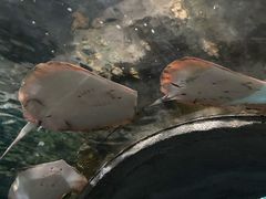 -杭州海底世界