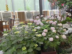 -凤来栖·净庭院·火锅(欧尚店)