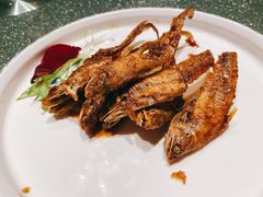 老上海五香烤子鱼-上海人家花樣年华(中山公园店)