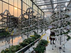 -建德果蔬乐园绪塘草莓基地