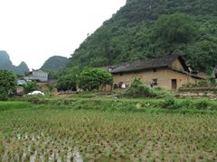 IMG_8059-老根农家饭店