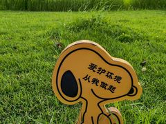 -华侨公园