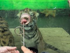 -栾川竹海野生动物园