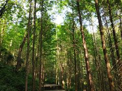 -凤栖山