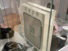 -COLOR PETS 撸猫馆·购猫·猫咖(长风大悦城店)