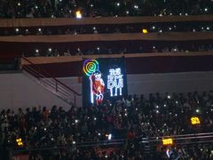 -南京奥林匹克体育中心-体育馆