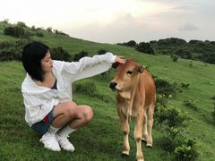 -大姆山草场