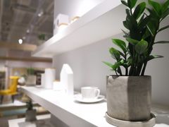 -OCE(熙地港购物中心店)