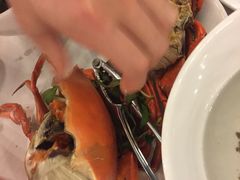 -越海渔村