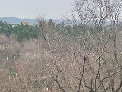 -茅山东方盐湖城景区