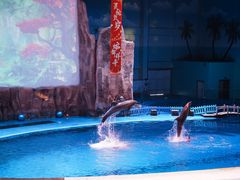 -华夏文旅海洋公园