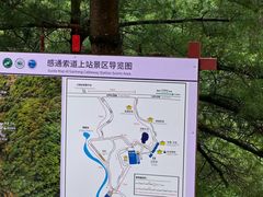 -苍山感通索道