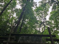 -大奇山国家森林公园