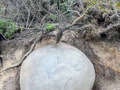 -摩拉基大圆石