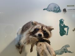 -重庆自然博物馆(新馆)