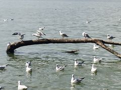 -捞渔河湿地公园