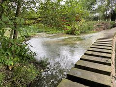 -桤木河湿地公园