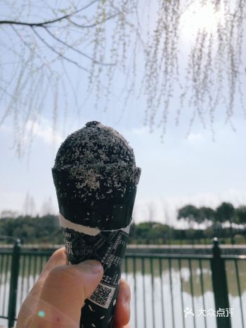 江南江北两岸，杨柳青青一片，碧玉妆成一树高