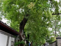 -VOYAGE COFFEE(北锣鼓巷店)