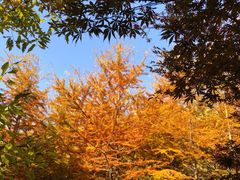 -青岛崂山太清宫
