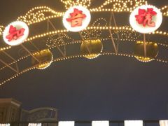 -武汉知音号