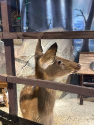 -酷嗒动物文化乐园(cutezoo西溪乐天城店)