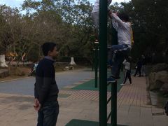 -滴水岩森林公园