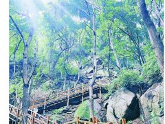 -大岭沟猕猴桃谷风景区