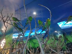 -未来动物城动物主题公园(大悦城店)