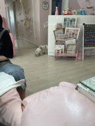 -Beauty Nails 美甲美睫皮肤管理