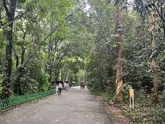 -潮发潮汕牛肉店(龙洞店)