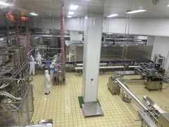 -米开朗冰淇淋博物馆