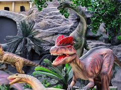 -国家自然博物馆