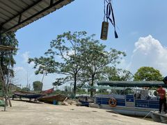 -洪湖生态旅游区