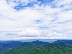 -武陵山森林公园