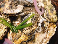 -蚝堡海鲜·威海菜·海肠捞饭·烧烤·亚洲吃蚝公司(幸福门店)