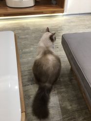 -隅日式美甲美睫專門店