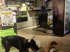 -百好乐宠物友好餐厅(朝外大街店)