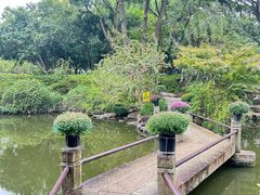 -汇龙潭