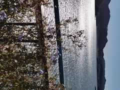 -望湖烤鱼