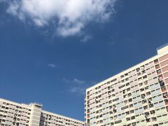 -彩虹村