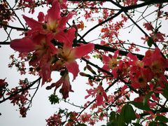 -风云岭森林公园